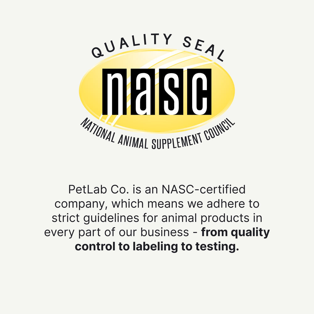PetLab Co Joint Care Chews pork flavor pleases dogs during daily supplementation.