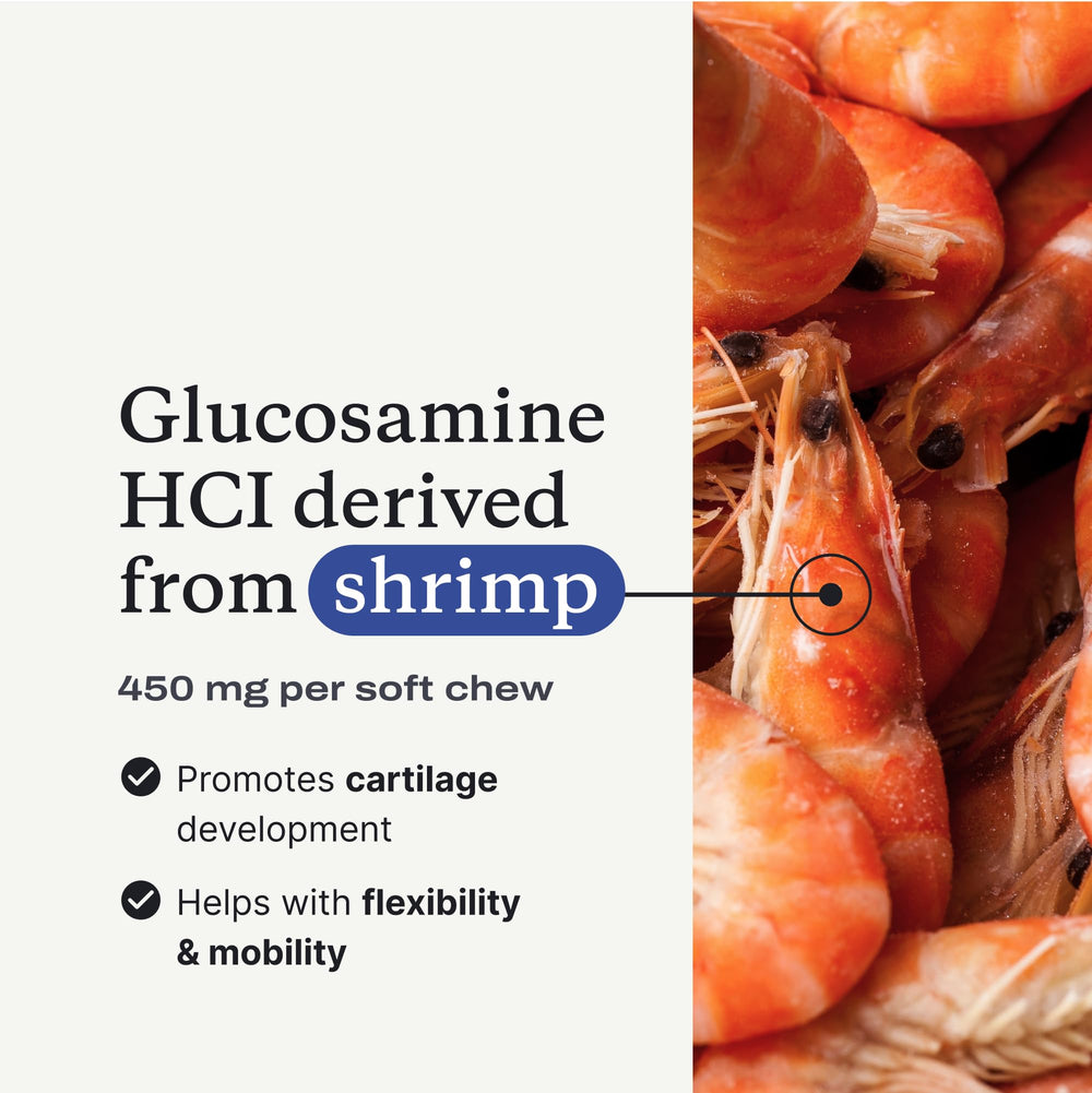 PetLab Co Joint Care Chews salmon flavor with visible ingredients for trust and quality.