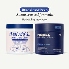 PetLab Co Joint Care Chews soft chews close-up highlighting palatability for easy daily dosing.