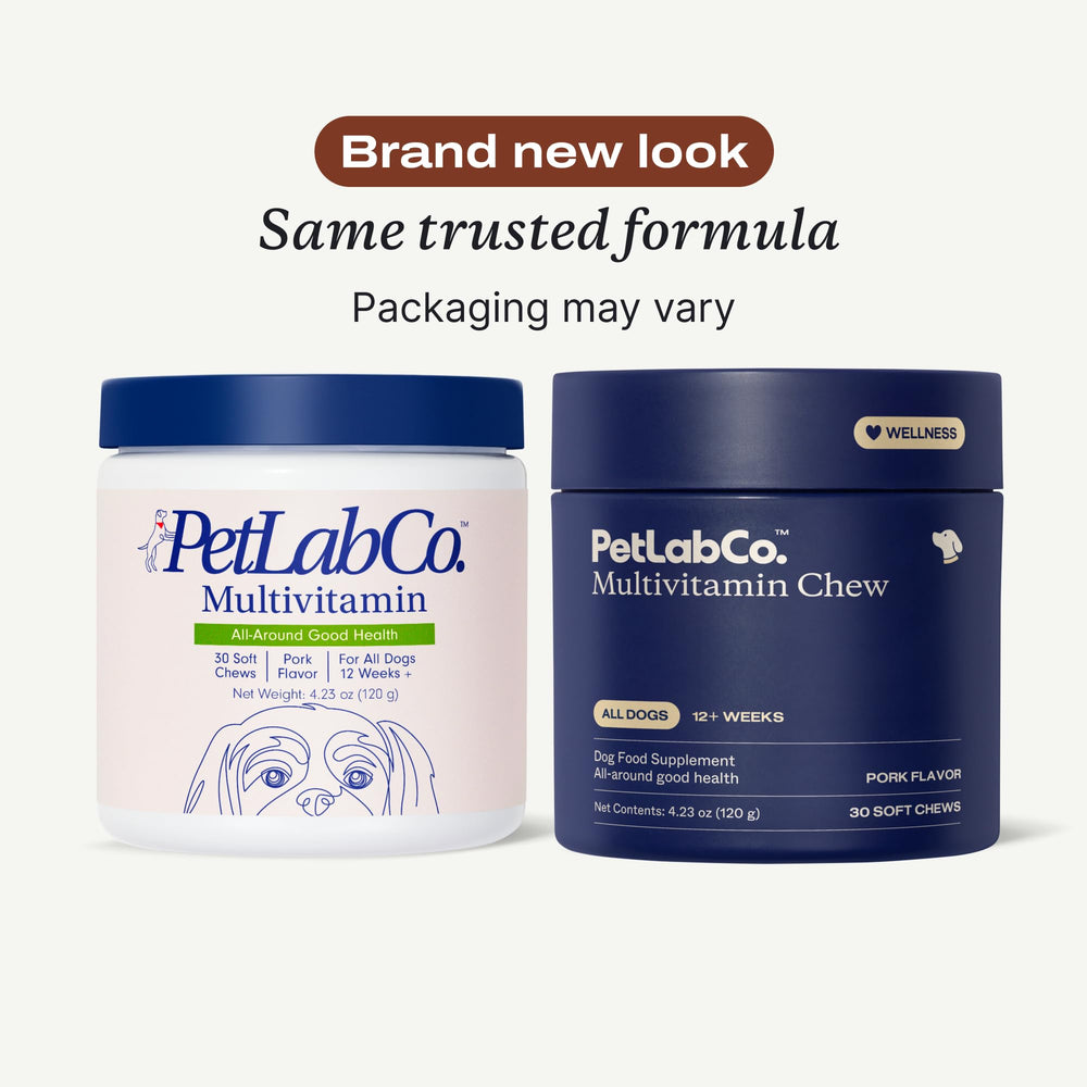 PetLab Co pork-flavored dog chew close-up, invites daily nutrition.