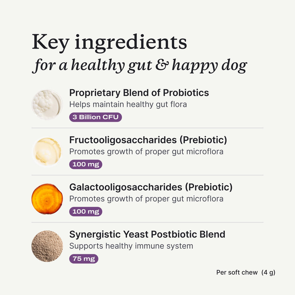 PetLab Co. daily-dose dish and spoon image conveys convenient chew routine.