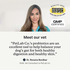 PetLab Co. probiotic jar label highlights USA-made quality and NASC certification.