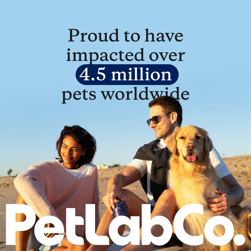 PetLab Co Probiotics for Dogs seasonal allergy relief visual highlighting immune support