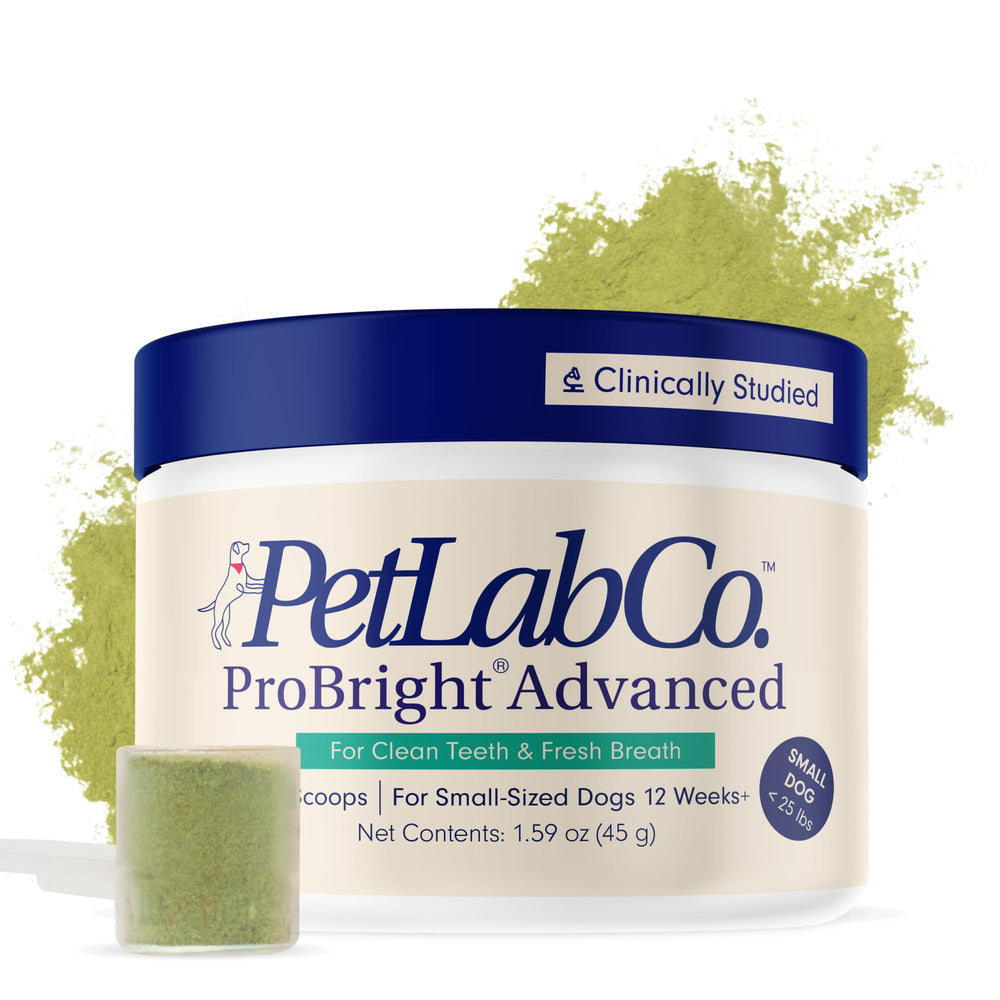 PetLab Co. ProBright dental powder tub front promotes fresher breath.