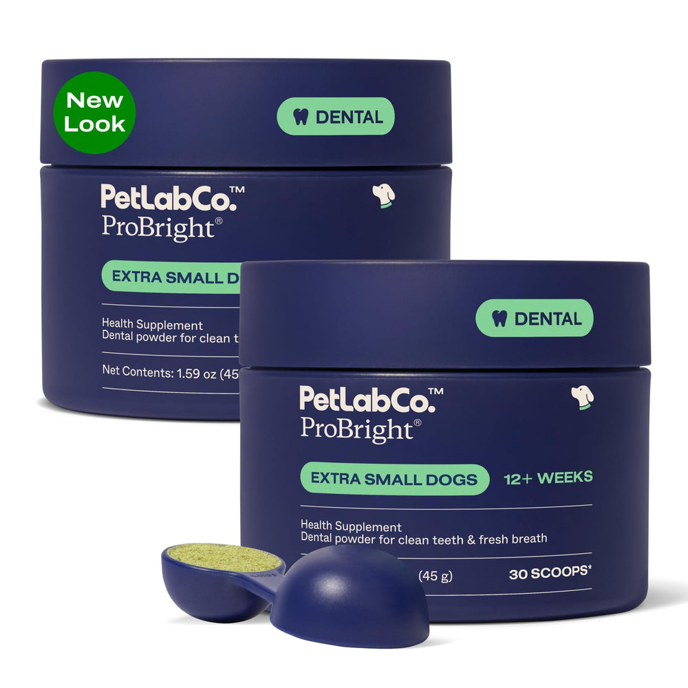 PetLab Co ProBright dental powder bottle for at-home dog oral care.