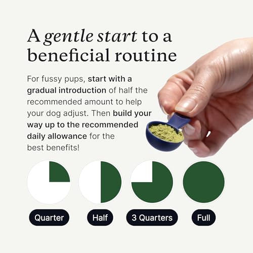 PetLab Co ProBright powder supports fresh breath and clean teeth.
