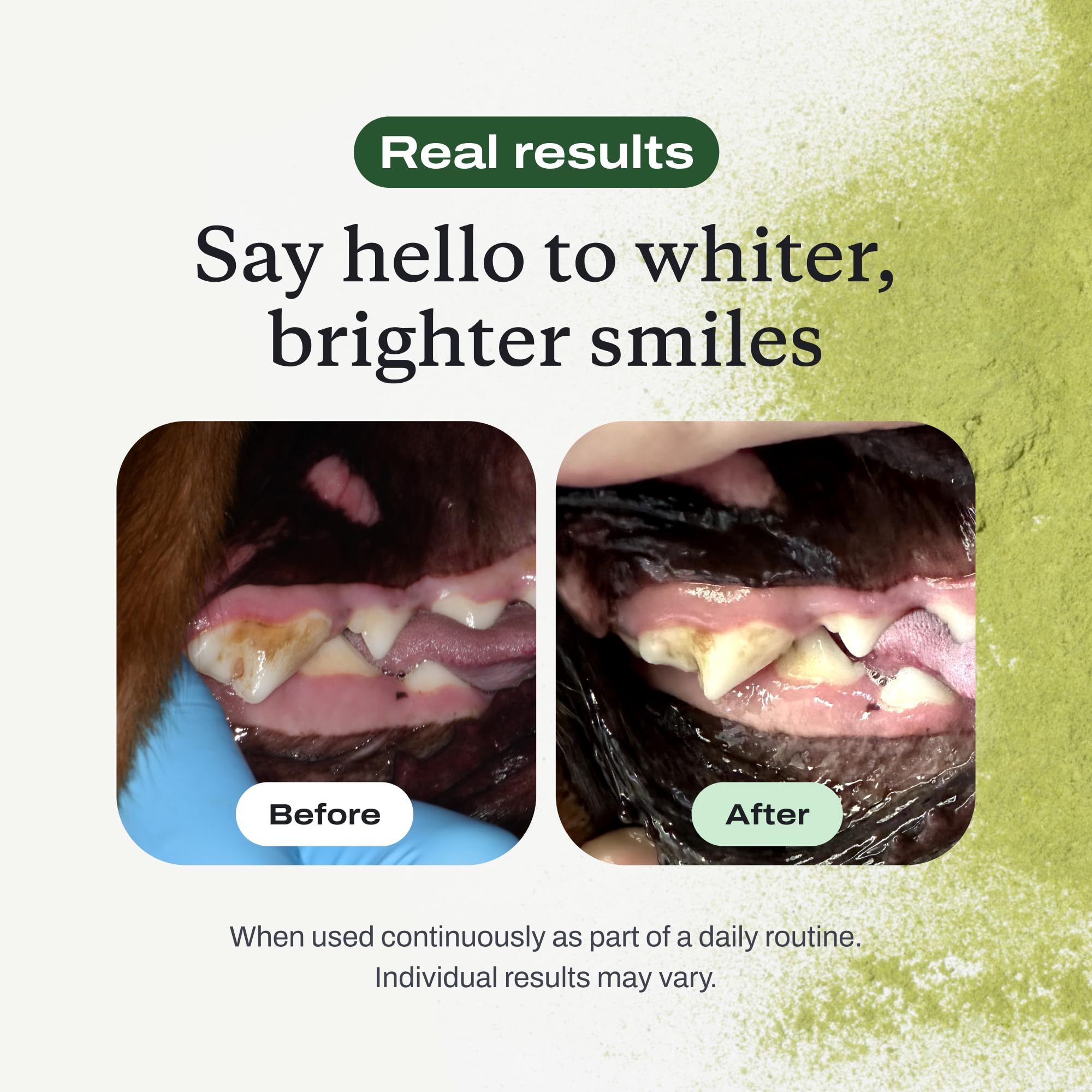 PetLab Co ProBright close up of powder texture supports quick mixing into water