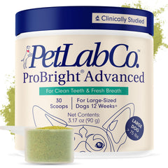 PetLab Co. ProBright large-dog tub closeup, easy daily dental powder for fresher breath