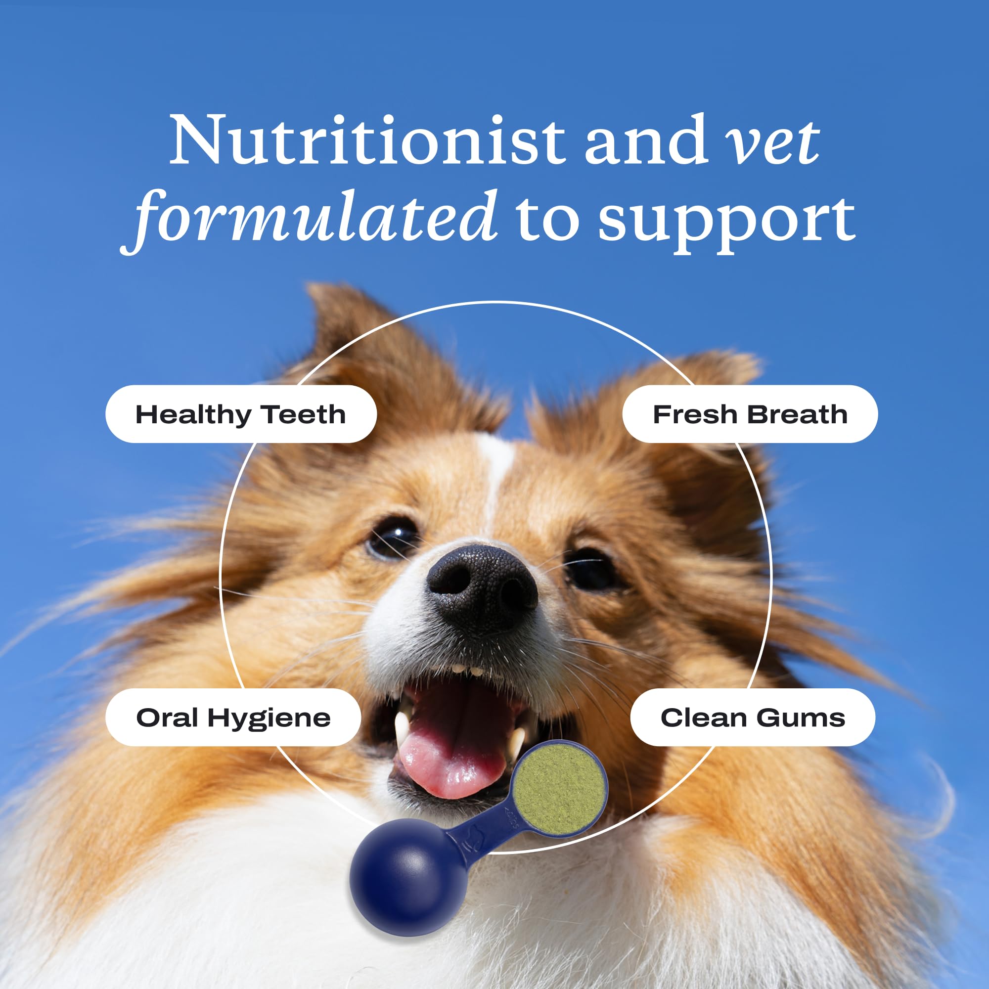 PetLab Co ProBright small breed formula shown for everyday dog dental care
