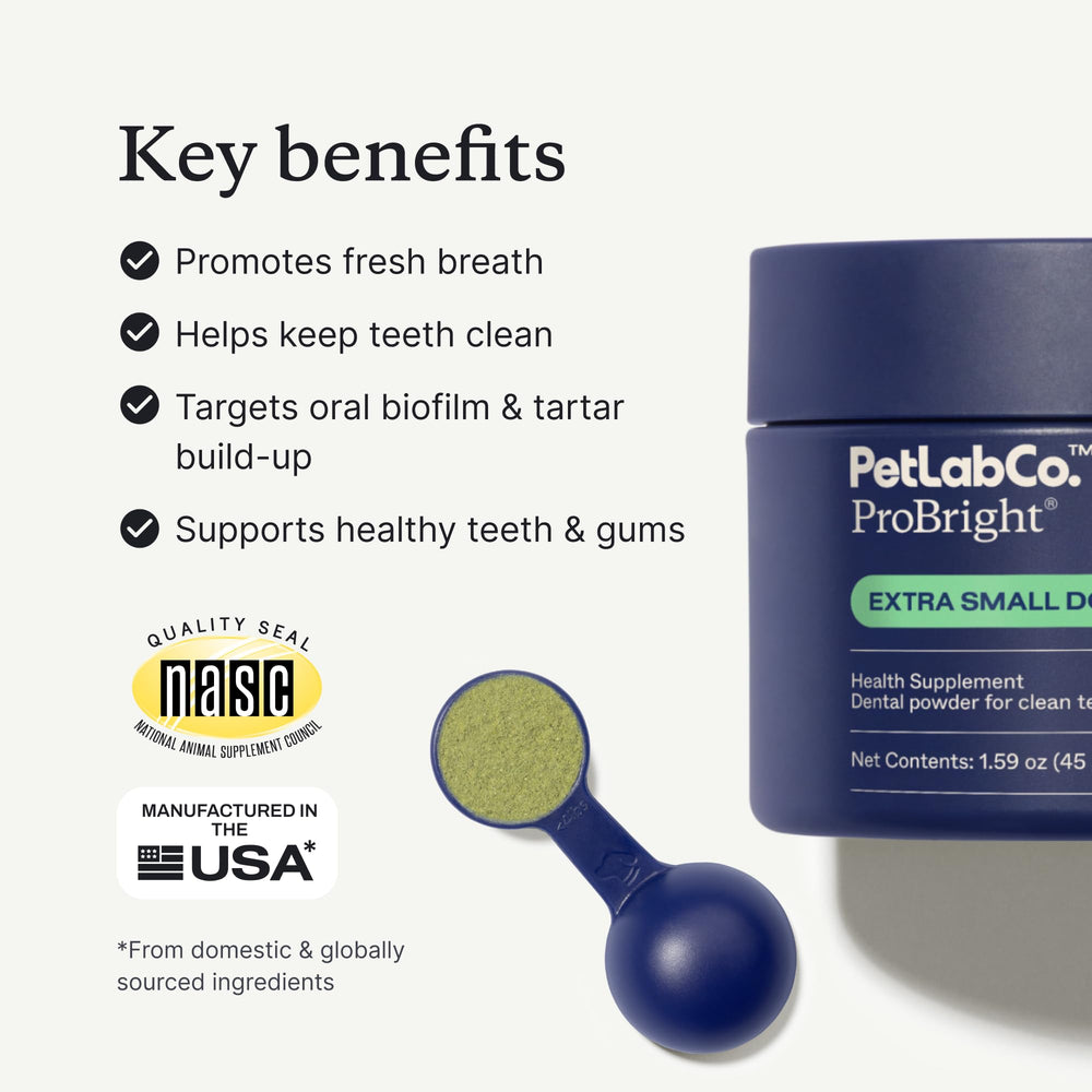 PetLab Co ProBright powder being sprinkled highlights simple daily care for tartar and breath