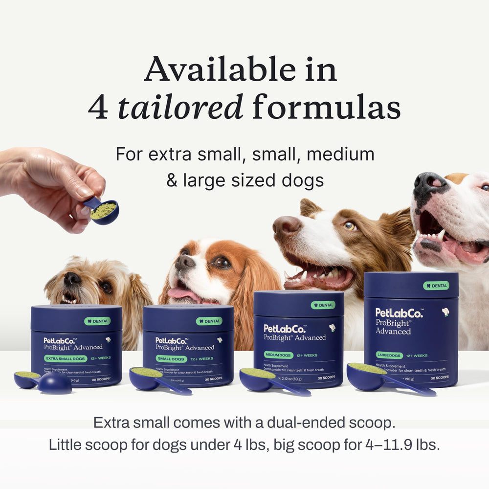 PetLab Co. ProBright tub with brand label emphasizing quality dental care