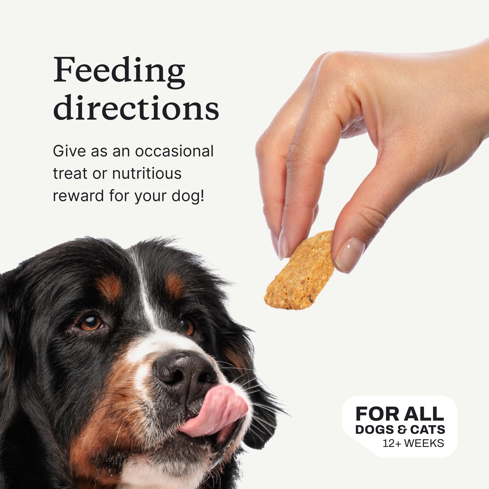 PetLab Co Salmon Bites USA-made packaging emphasizes premium quality