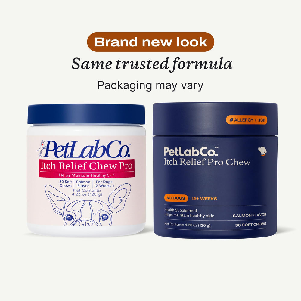 PetLab Co. Salmon Itch Relief Chew Pro chews in bowl for daily skin support