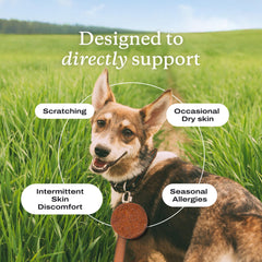 PetLab Co. Salmon Itch Relief Chew Pro omega-oil closeup emphasizes omega-3 benefits