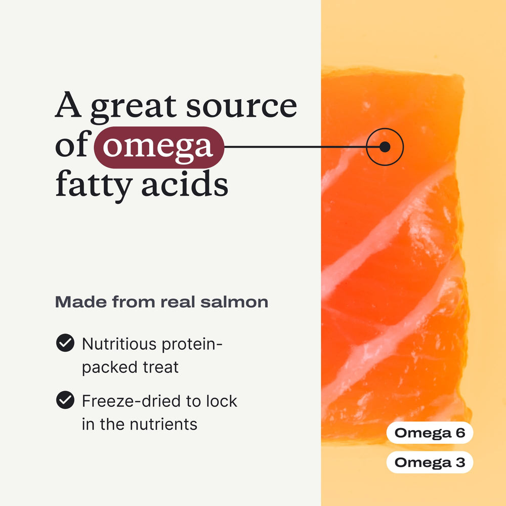 PetLab Co. wild-caught salmon treats textured bite supports easy chewing and tasting appeal.