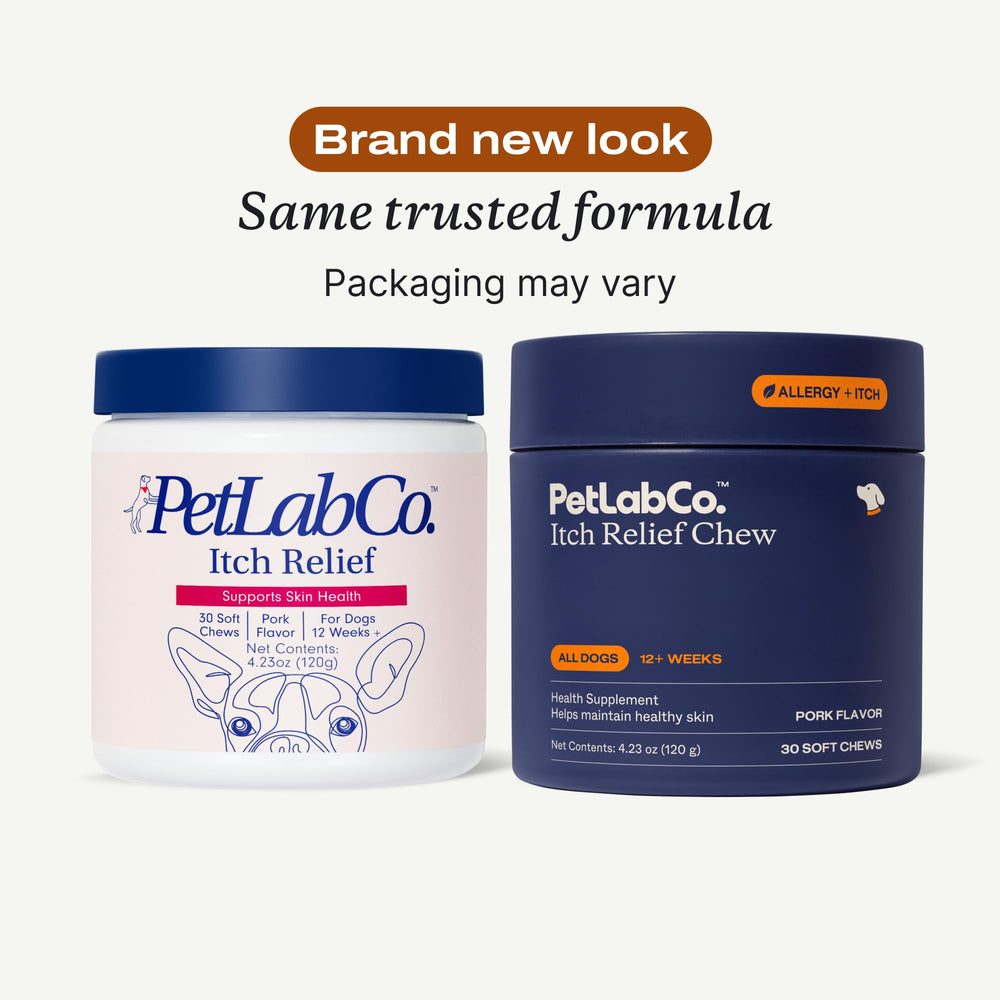 PetLab Co Itch Relief Chews turmeric-visual shows turmeric benefits for skin care