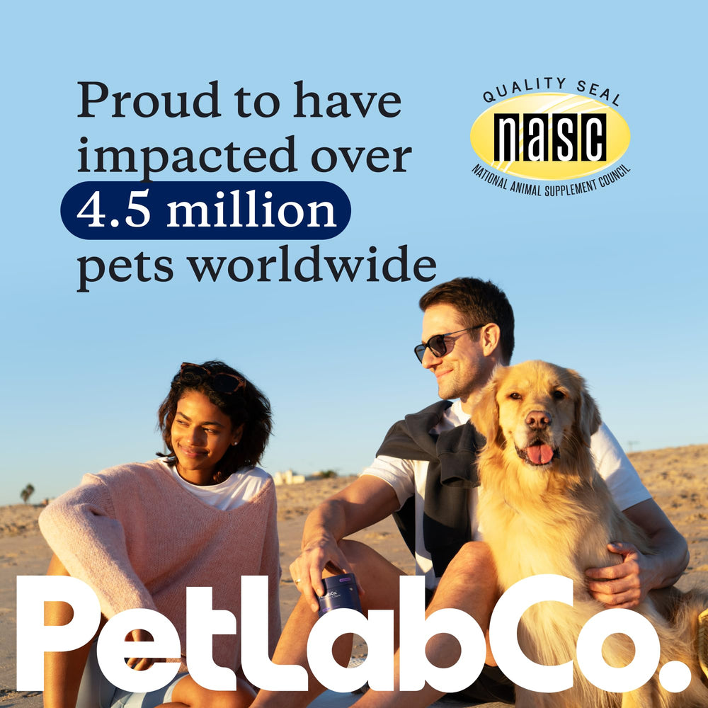 PetLab Co chewables balance immune support and seasonal comfort.