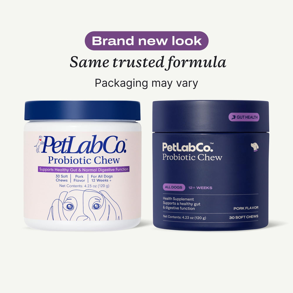 PetLab Co probiotics chews close-up highlighting tasty pork flavor.
