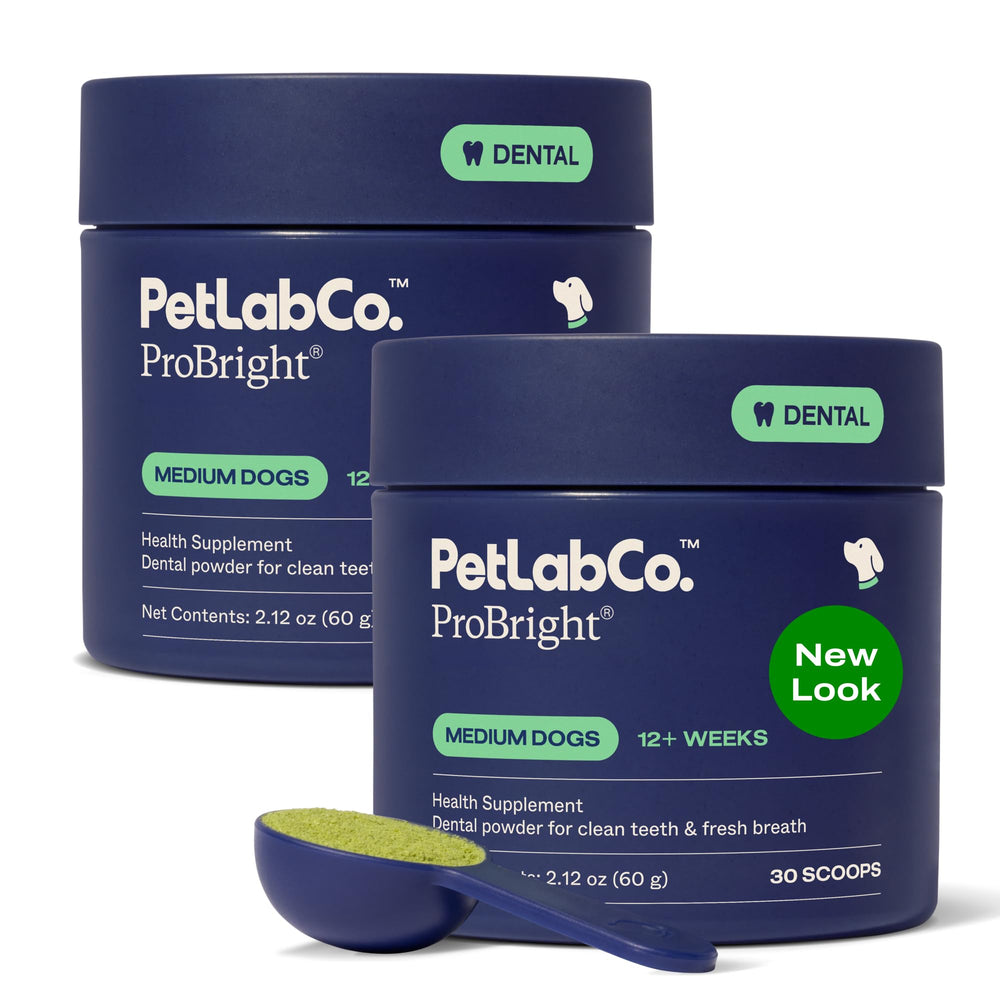 PetLab Co ProBright dental powder pack-2 ready for daily tartar control.