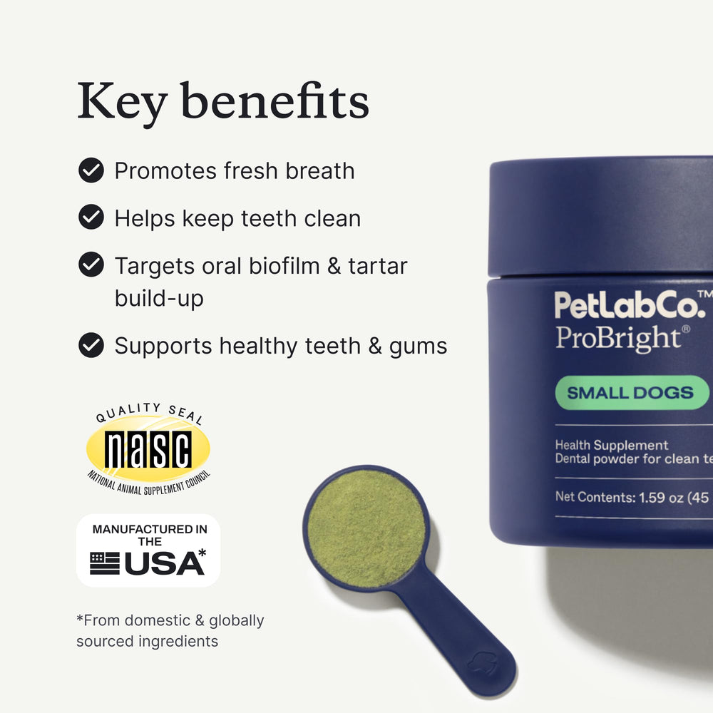 PetLab Co ProBright dual-ended scoop highlighted for precise, mess-free application.