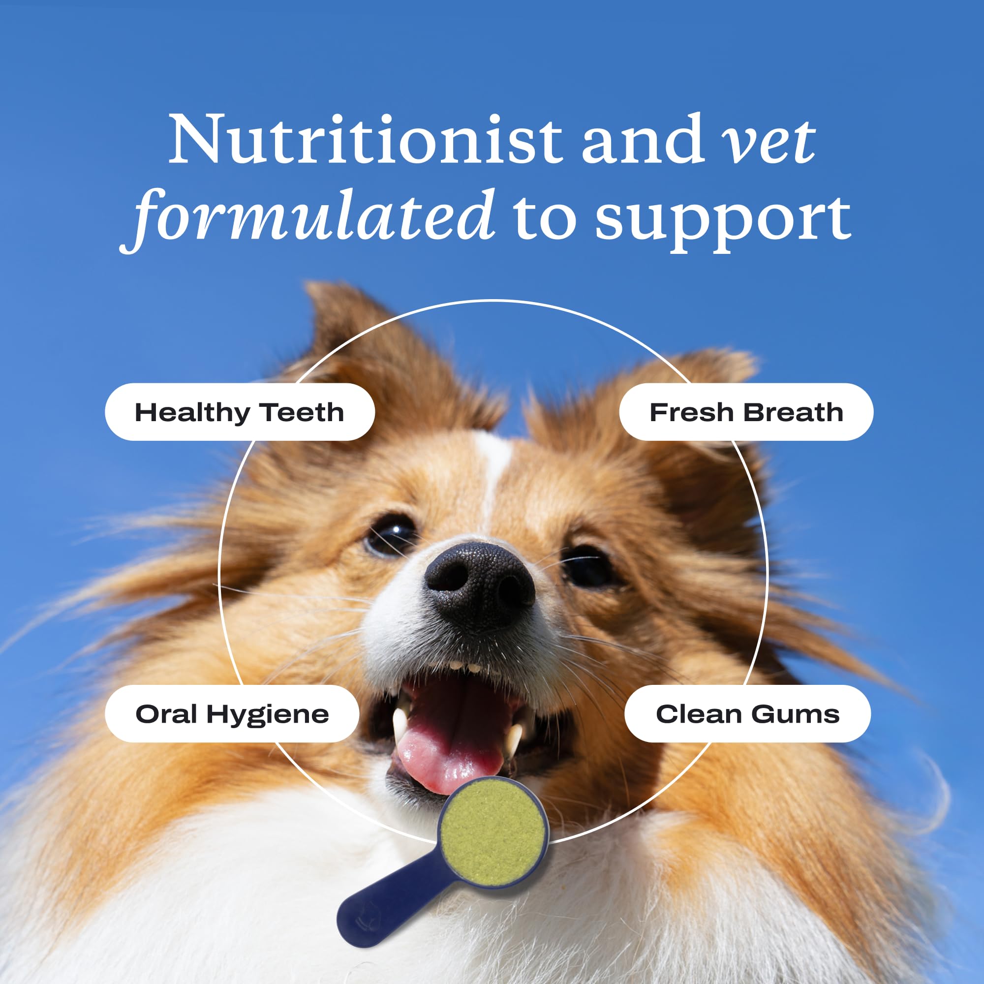 PetLab Co ProBright label emphasizes USA-made quality and NASC standards.