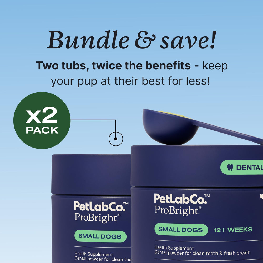 PetLab Co ProBright two-pack box on a counter highlighting value and storage.