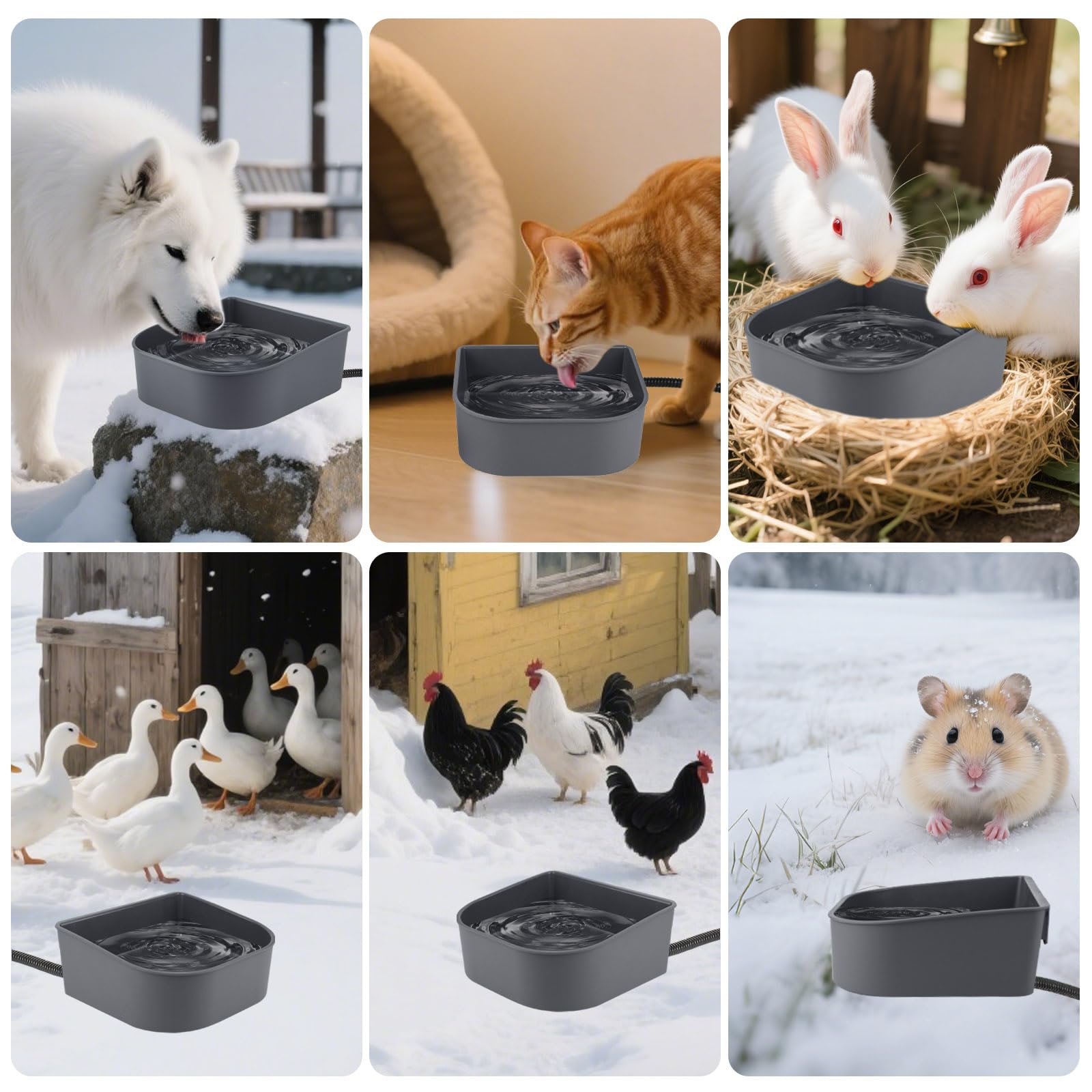 PETLESO bowl hanging design shown in crate for easy placement