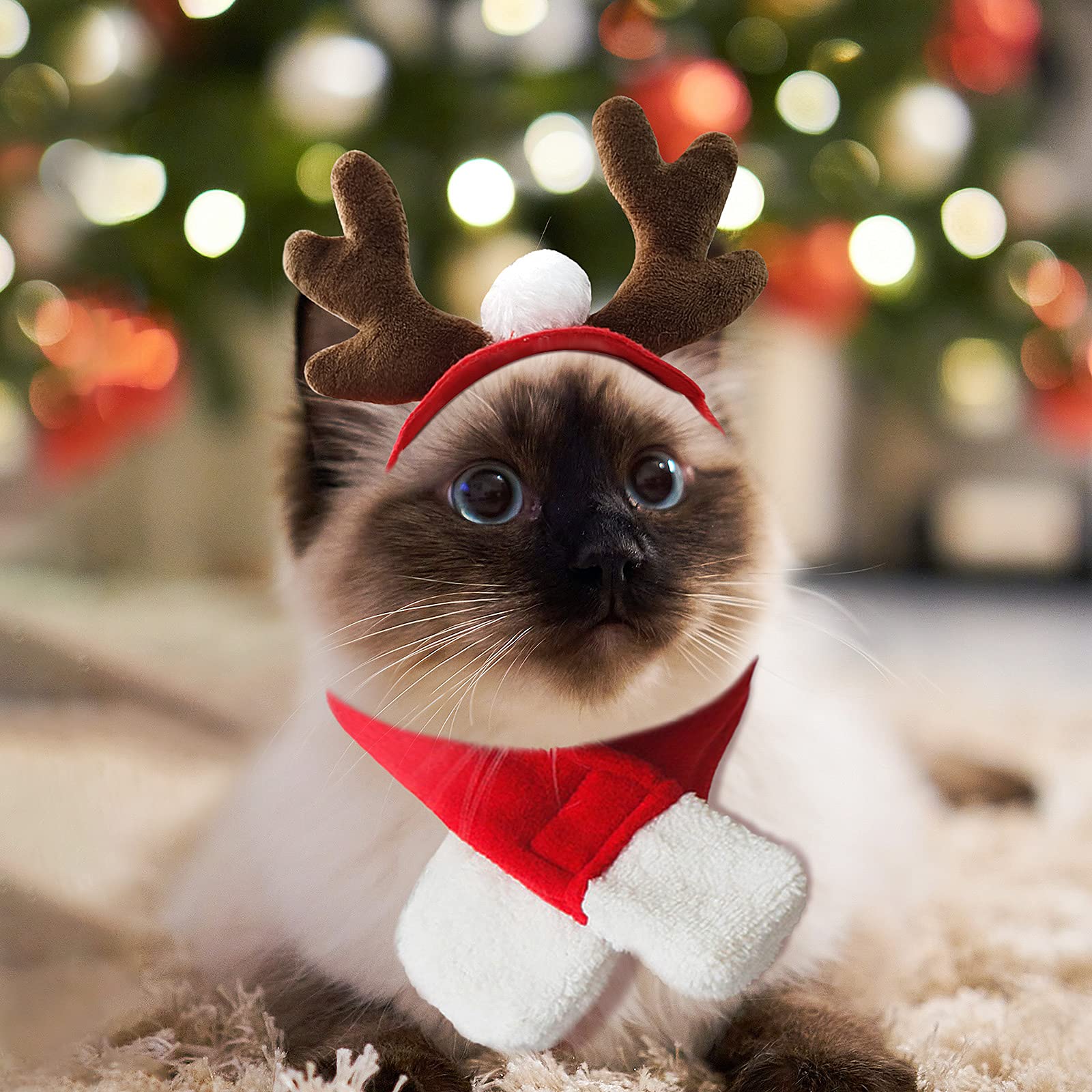 PETLESO cat-reindeer-antlers-headband for comfortable festive wear and photos