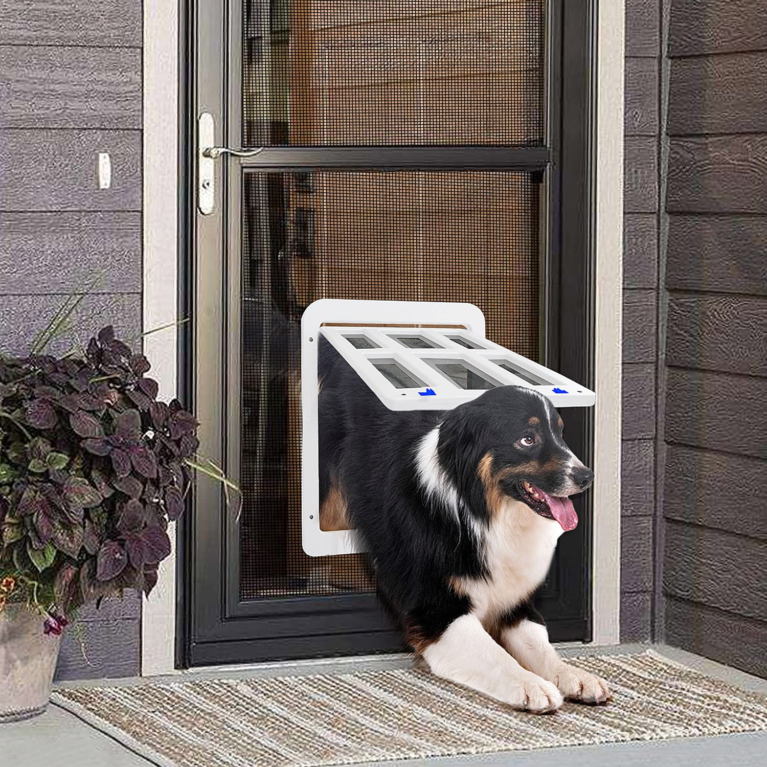 PETLESO dog door-in-use shows pets using the flap during daily routines