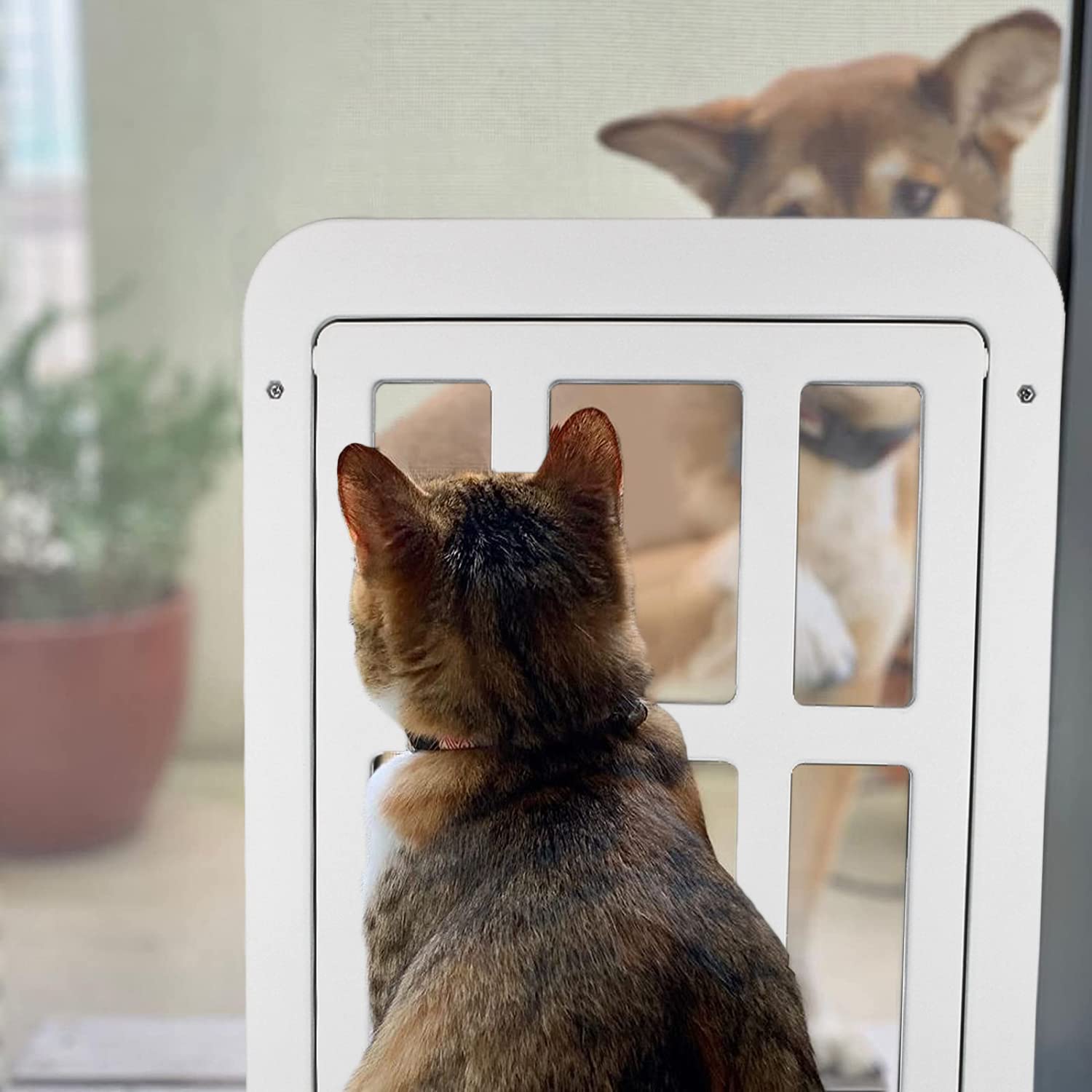 PETLESO dog door-inner-frame with measured fit for reference