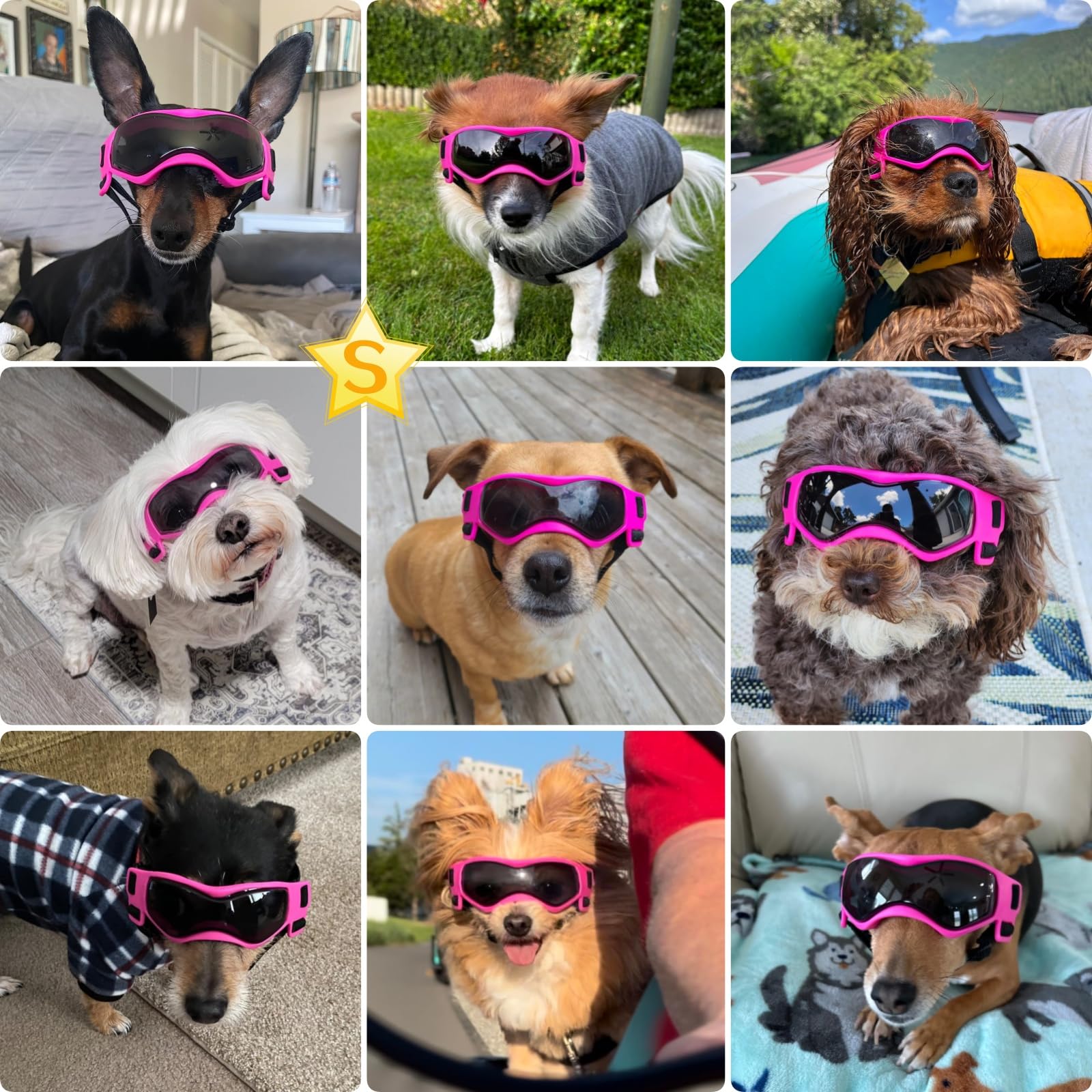 PETLESO size S ensures a snug fit for small breeds