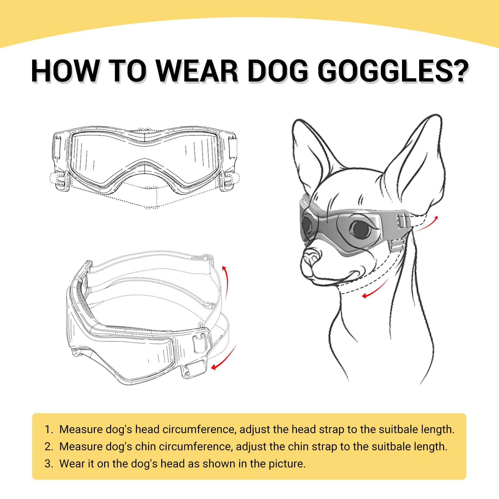PETLESO dog goggles prepared for car rides with a medium breed
