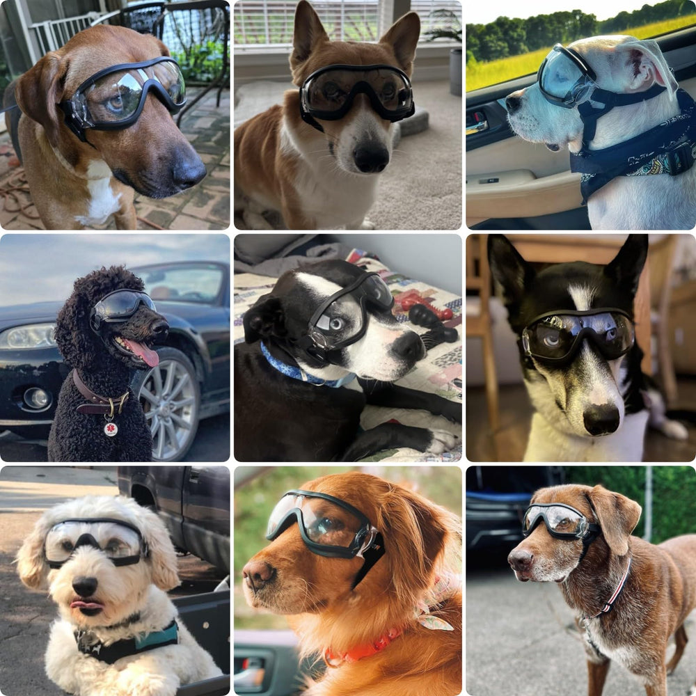 PETLESO dog goggles clear lens closeup for daytime visibility