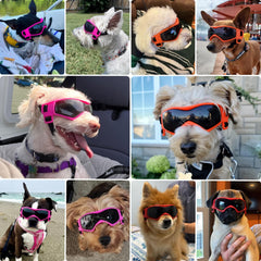PETLESO dog goggles showing curved-lens design for better eye coverage