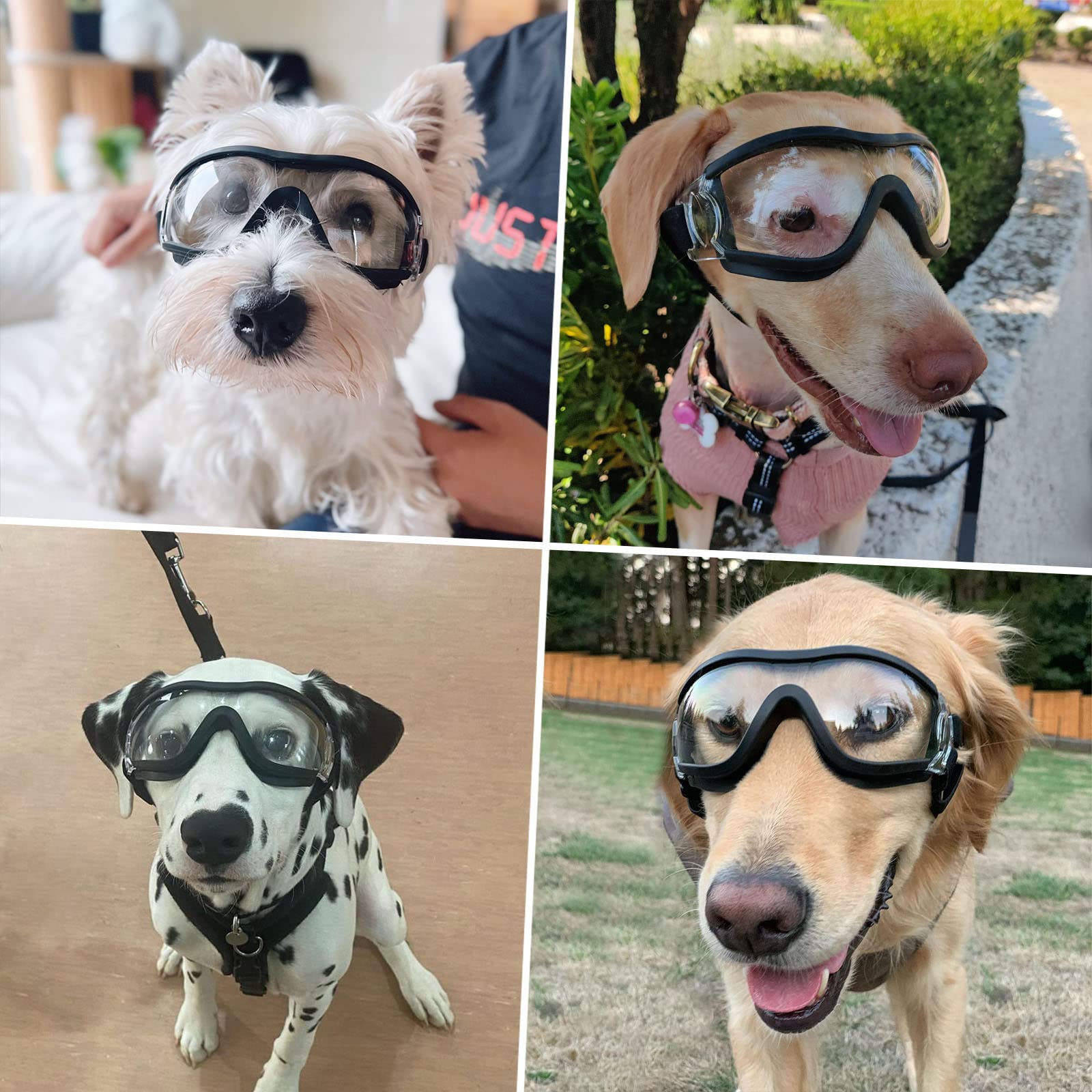 PETLESO dog goggles stylish design on a pet during outings