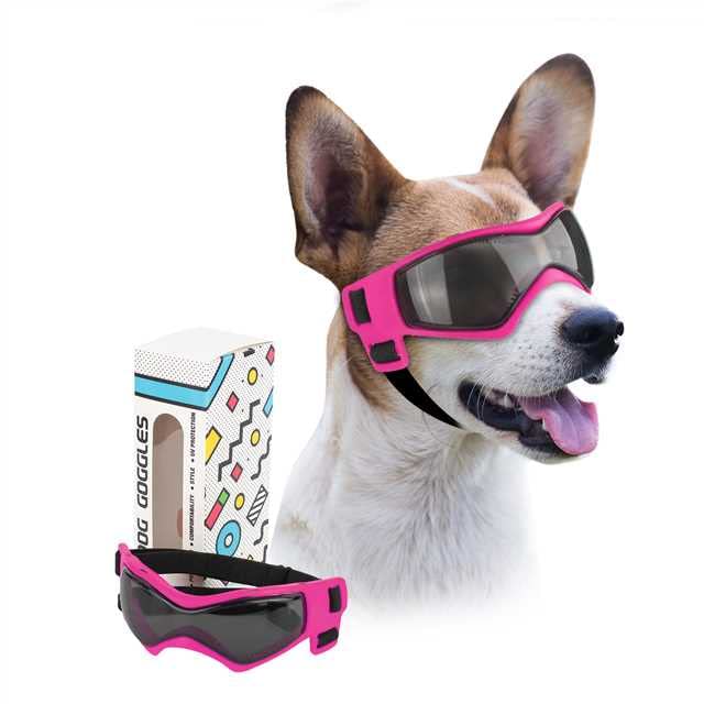 PETLESO dog goggles front view in pink protect eyes from wind outdoors.
