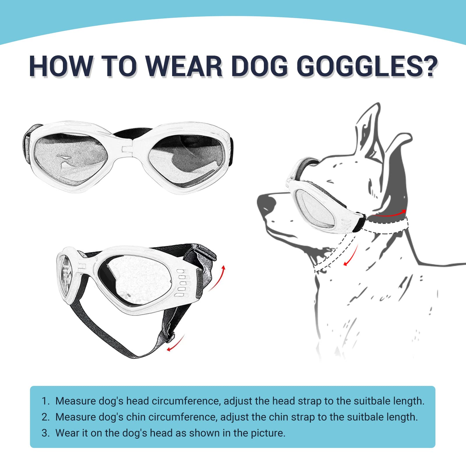 Petleso dog goggles adjustable head strap for secure fit.