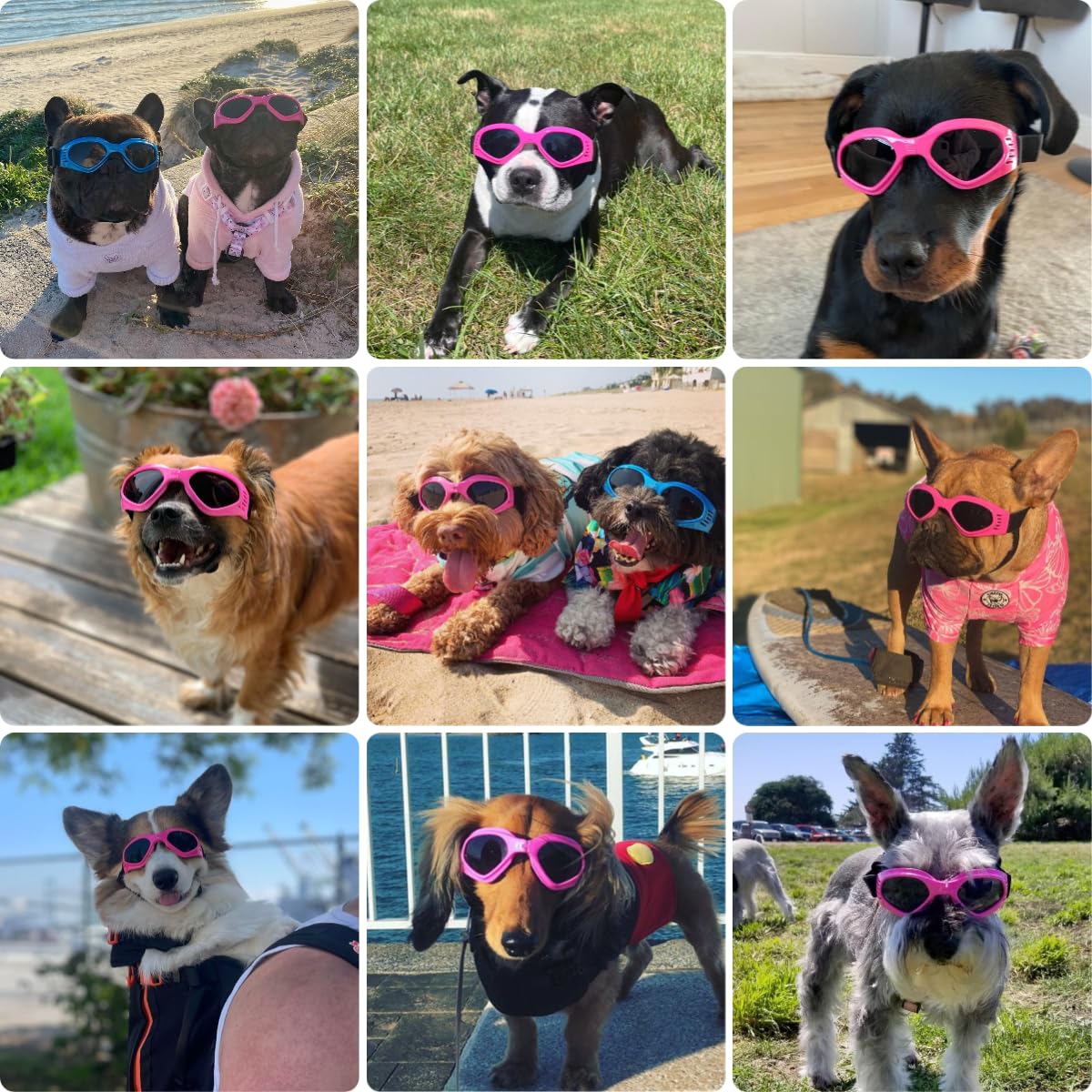 Petleso dog goggles pink side view highlighting lightweight frame and secure fit
