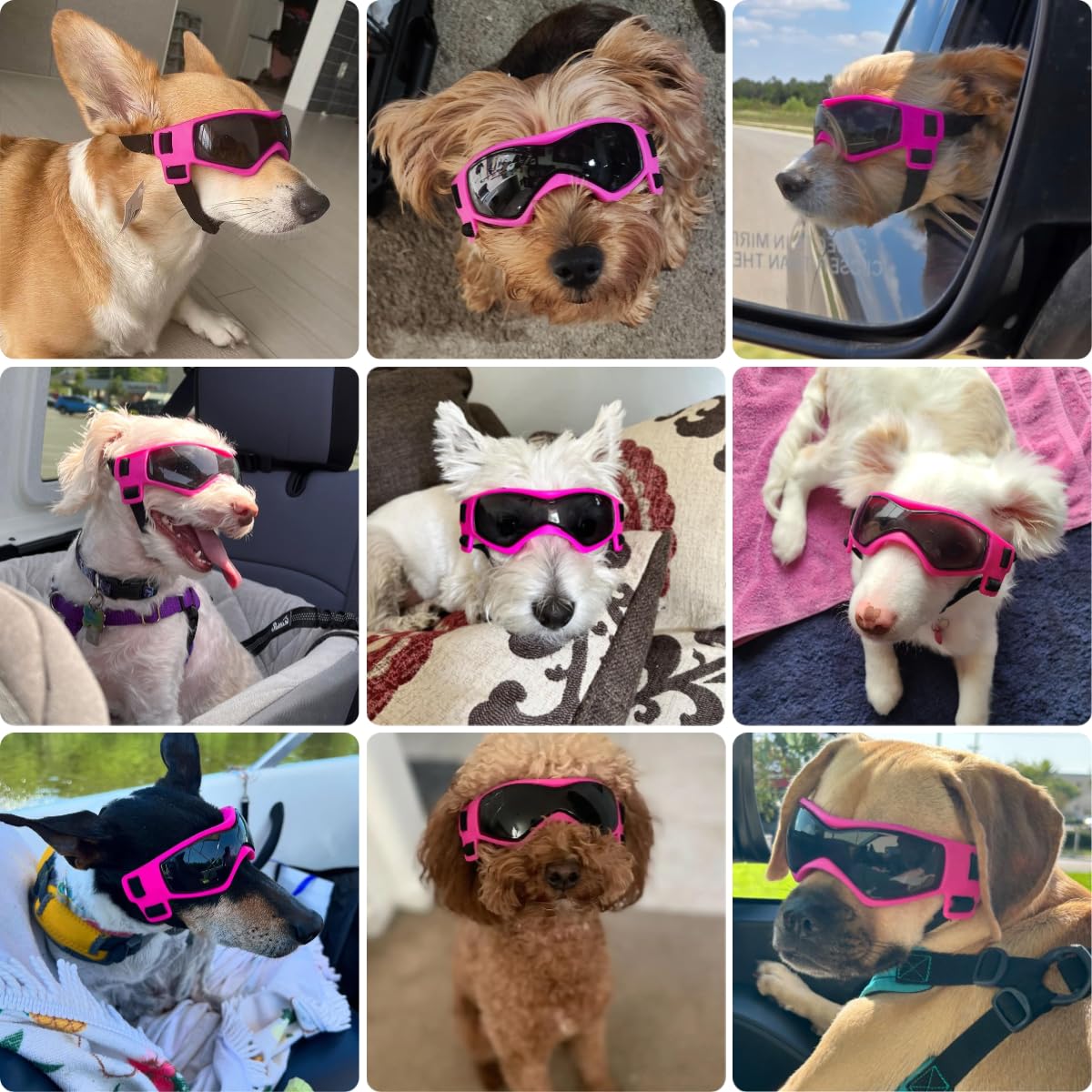 PETLESO dog goggles side view in pink show secure fit for car rides.
