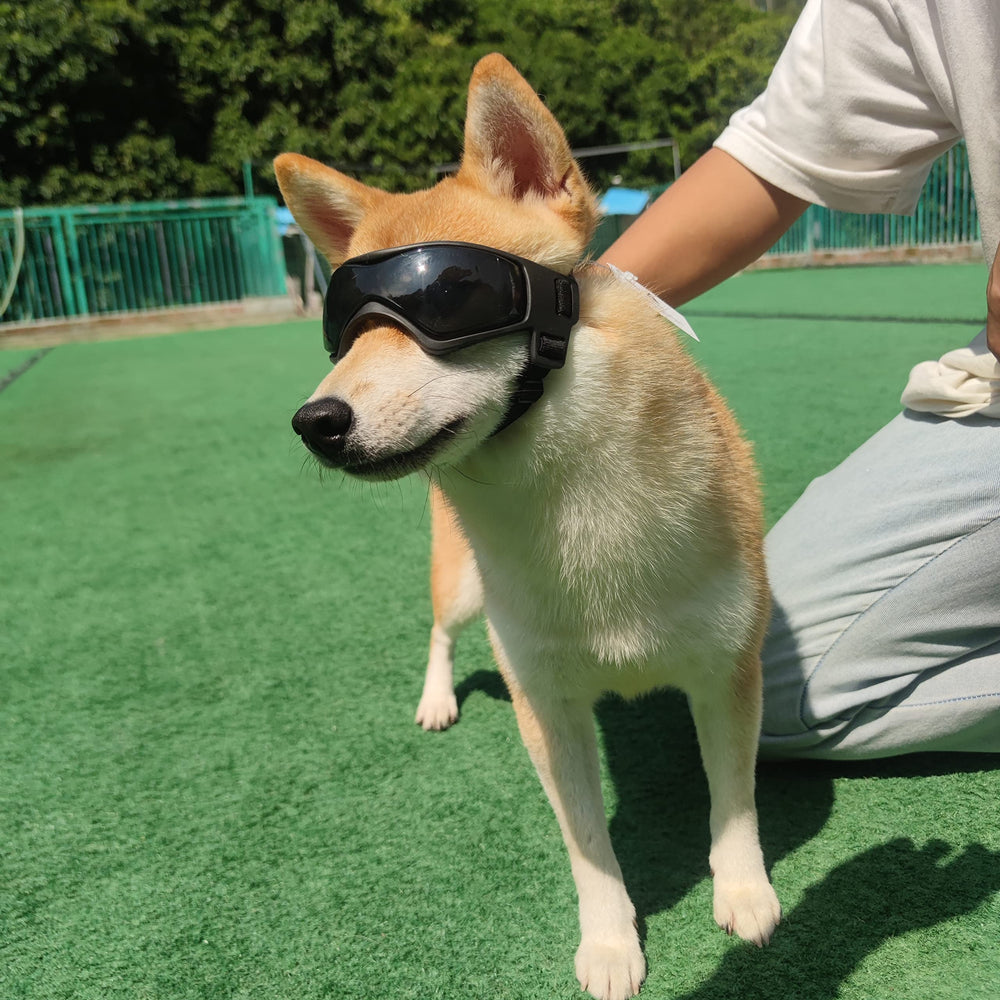 PETLESO dog goggles size M with adjustable fit for medium breeds