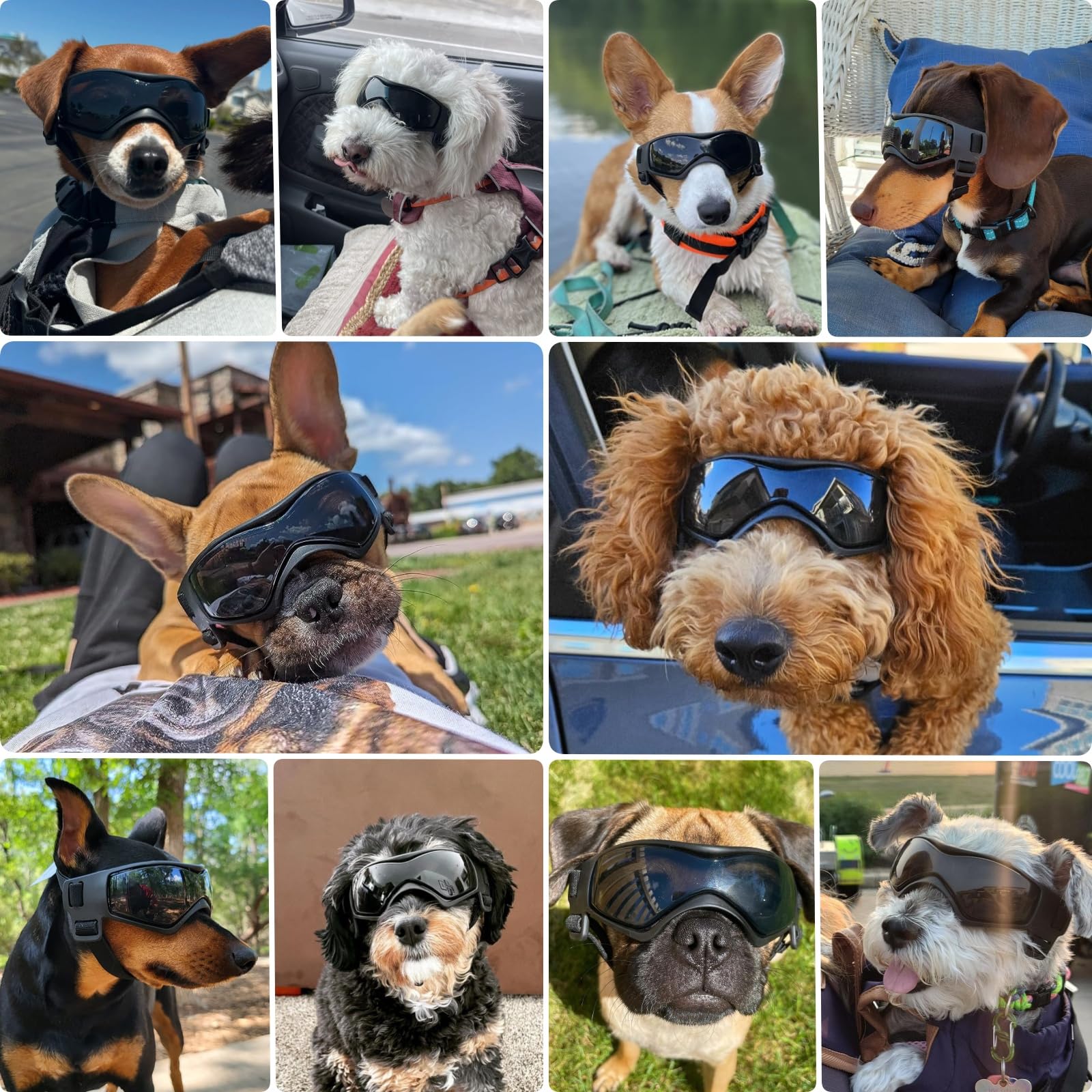 PETLESO dog goggles soft-frame vents enhance comfort and reduce moisture