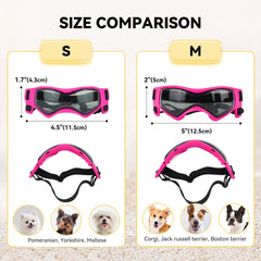 PETLESO UV-protection lenses shield eyes from sun and dust