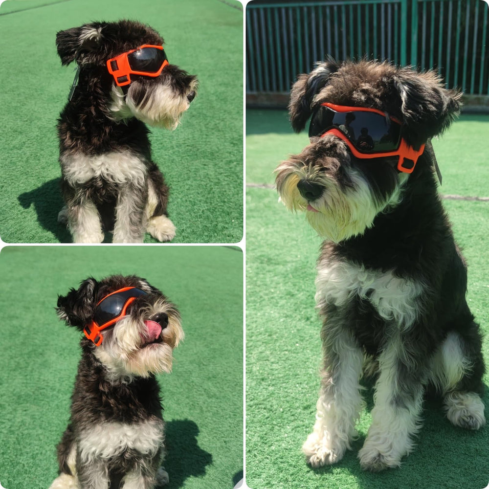 PETLESO dog goggles in orange for high visibility during outdoor activity
