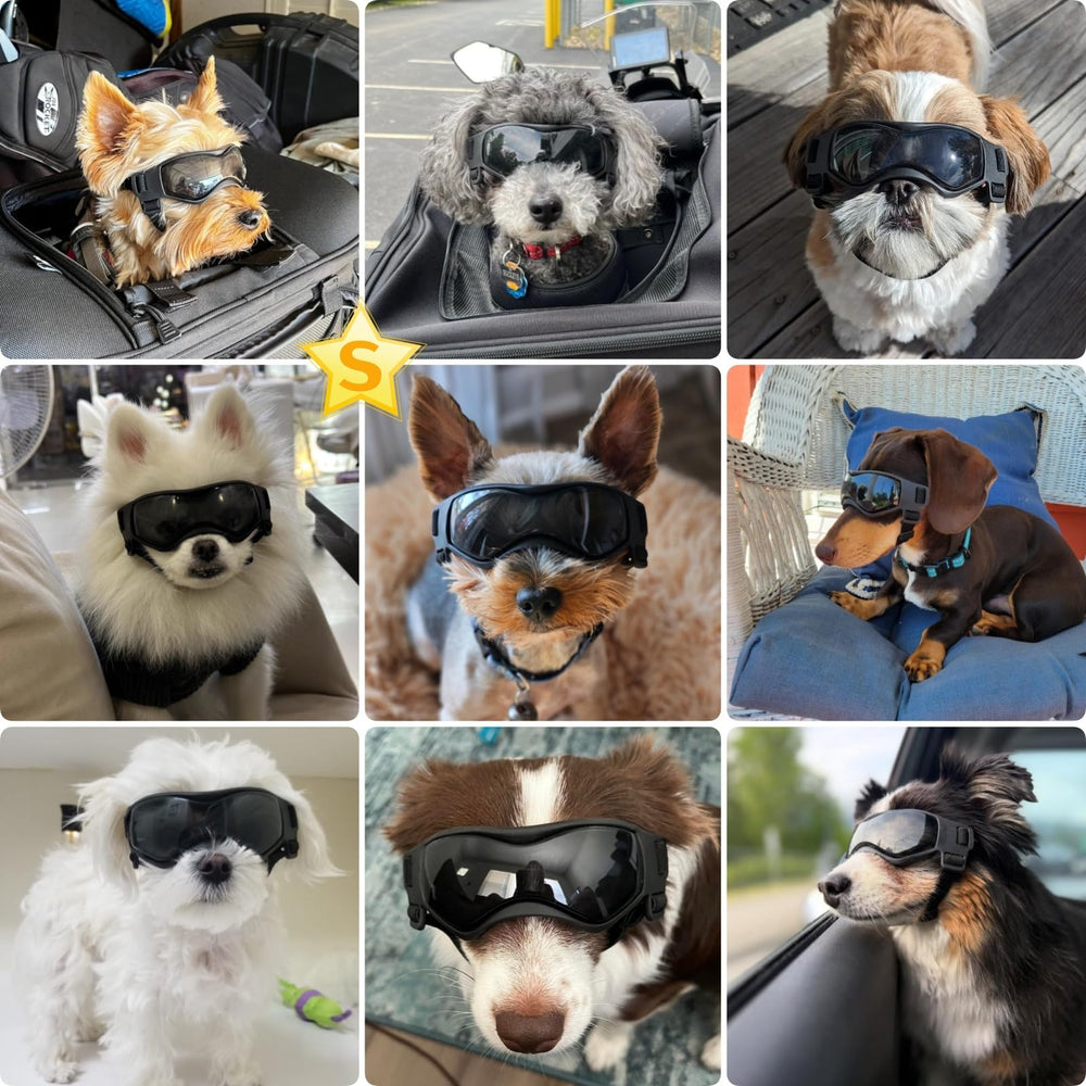 PETLESO dog sunglasses curve-lens design protects eyes during windy hikes.