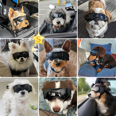 PETLESO dog sunglasses curve-lens design protects eyes during windy hikes.