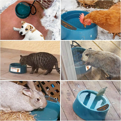 PETLESO heated water bowl close-up shows BPA-free ABS construction and safety features.
