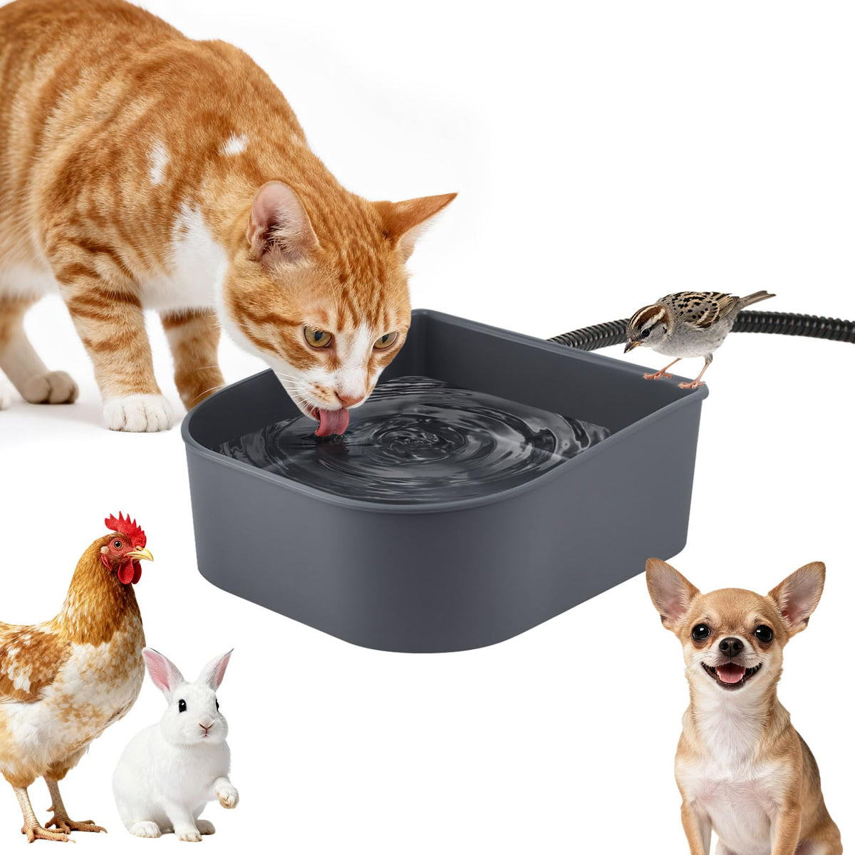 PETLESO heated water bowl on floor keeps water accessible in winter