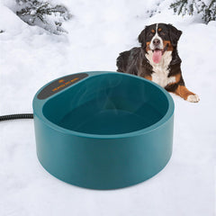 Petleso heated water bowl outdoor setup keeps feral cats and birds hydrated.
