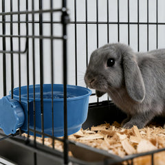 PETLESO thermostat-equipped bowl maintains indoor water temperature for pets.