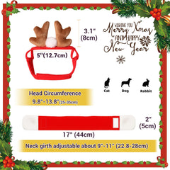 PETLESO festive-pet-costume for photoshoots and holiday cards